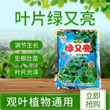 绿植花卉肥料叶片绿又亮晶体营养液万年青吊兰文竹观叶植物通用肥