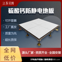 【常優】シリコン/硫酸カルシウム静電気防止床室高架空活動高負荷600*600