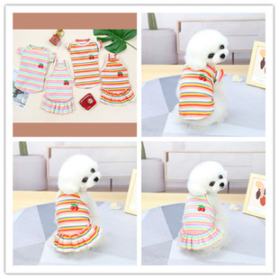 Pet clothing dog clothing small dog clothing pet clothing spring and summer dog supplies wholesale color stripe skirt vest