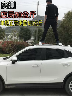 Roof rack, roof luggage rack crossbar