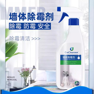 Wall Mold Remover Chuangjing Oem Custom Processing Manufacturer
