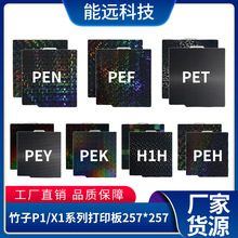 ���� X1 P1P�ᴲ�NĤƽ̨���Tpei��䓰�257*257 3D��ӡ�C���