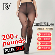 ֲqc͸wﶬzʹӽqӺѝ͸Ᵽů