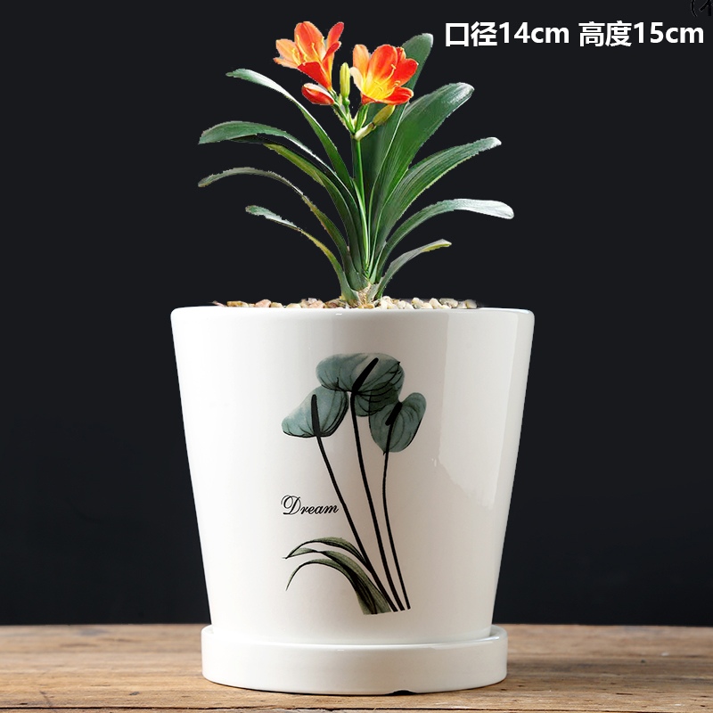 강화된 단일 중형 서부 베고니아-세라믹-대형