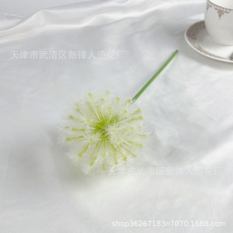タンポポは玉ねぎの花球の造花撮影だけを模倣しています。|undefined