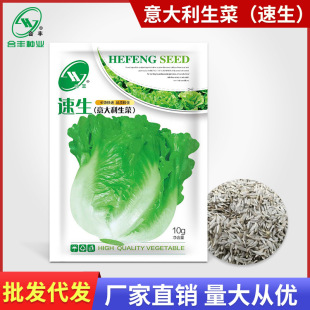 ���˷N����������˷N�� ��������ļ��Nֲ�߲˷N�� ������@�ѷN