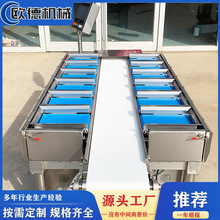 多功能组合秤 金枕榴莲肉冻果整果组合配重包装 自动组合定量出料