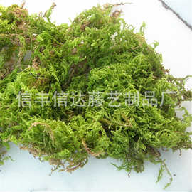 原产地 干苔藓草 染色苔藓 水草 乌龟过冬保温 居家装饰 100g/袋