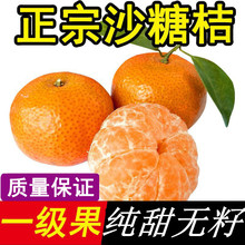 無籽純甜廣西桔子沙糖桔新鮮包郵10斤無核小橘子砂糖橘應季水果