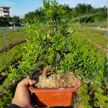 ����ֱ�����ʹ֗U���³���辰�����ļ�����Gֲ���\ݔ�ɳ���