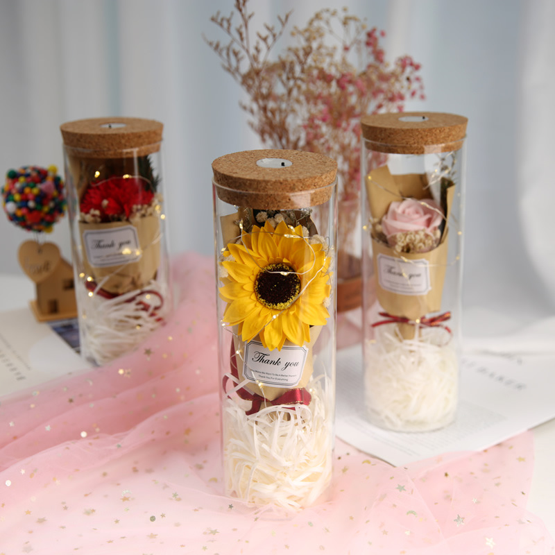 Cadena de luz recta jarrón de vidrio cilíndrico de corcho seco florero creativo transparente florero decoración de escritorio