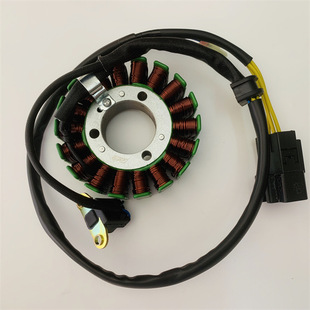 Motorcycle spring wind 250SR 250NK Magneto coil CF250-6 EFI ignition coil Stator