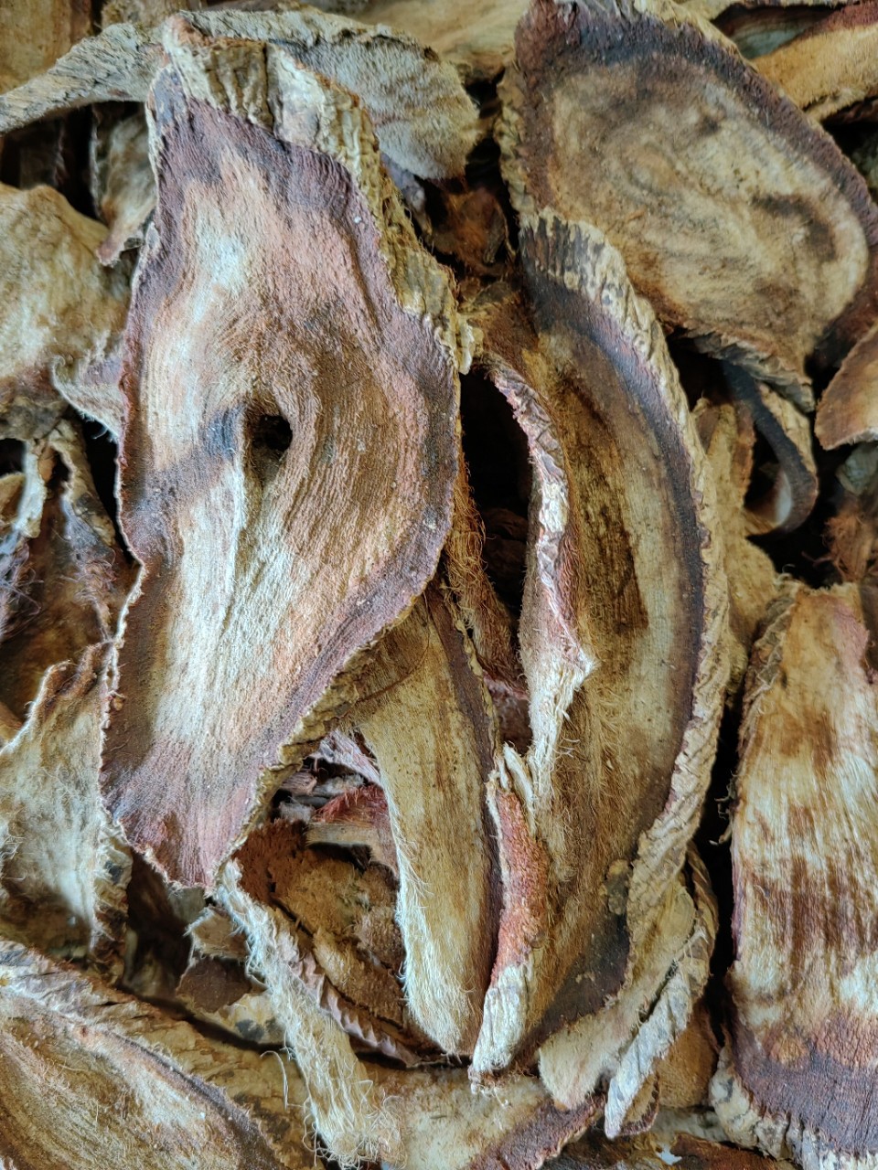Red Kwao Krua Root (Pueraria mirifica) — Thai Botanical for Wine & Tea Infusions key features