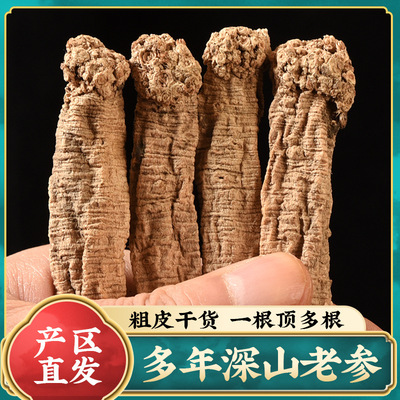 老党参特大1.2正品狮头干货无硫熏党参段甘肃岷县批发免费切片