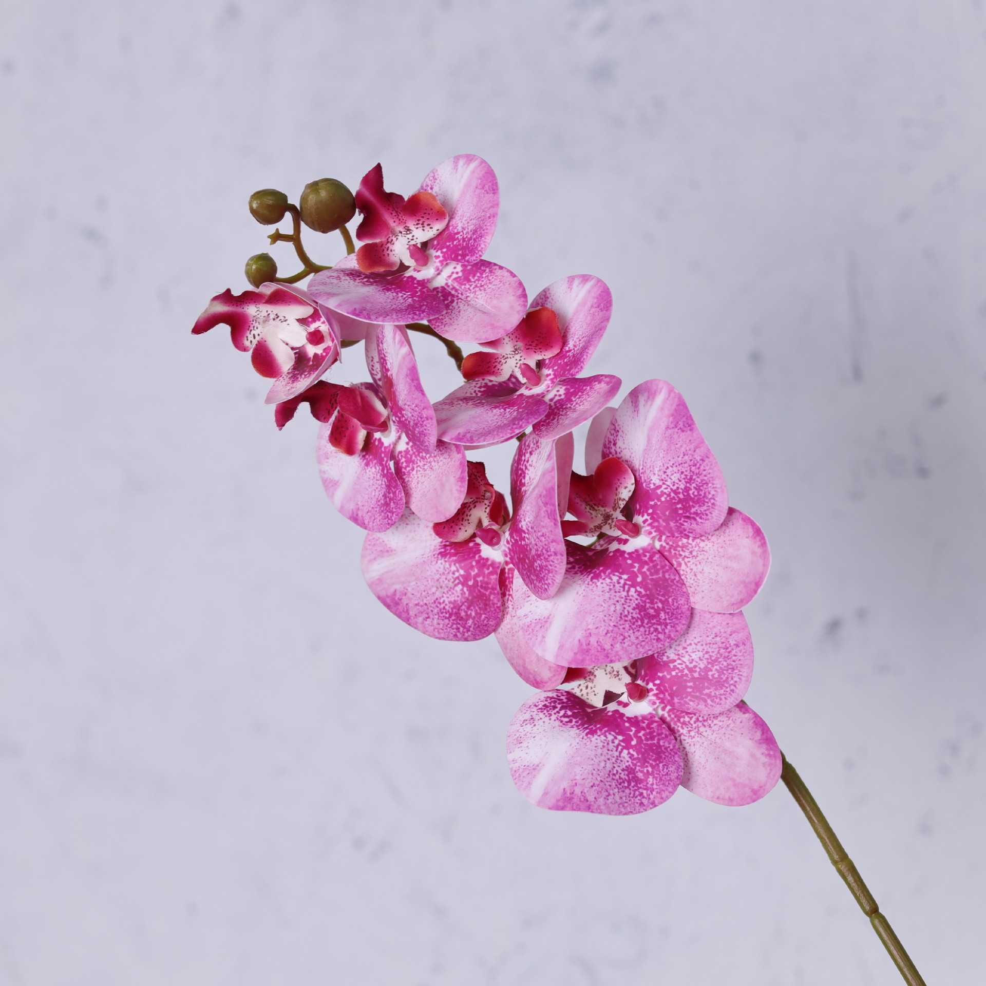 Impresión 3D de 7 cabezas de orquídeas mariposa flor de decoración de flores de alto nivel flor de nicho decoración floral decoración de sala de estar