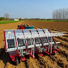 ��݆���ͳ���ʽ6��ˮ���Nֲ����C �о�300�����{���P�������C