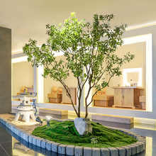 �����R��ľ�߶��p�ݾGֲ�҃����Է����پGֲ�҃ȿ͏d�b��������