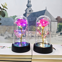 永生花塑料罩玫瑰花發光金箔鐳射聖誕節LED燈禮物跨境貨源批發