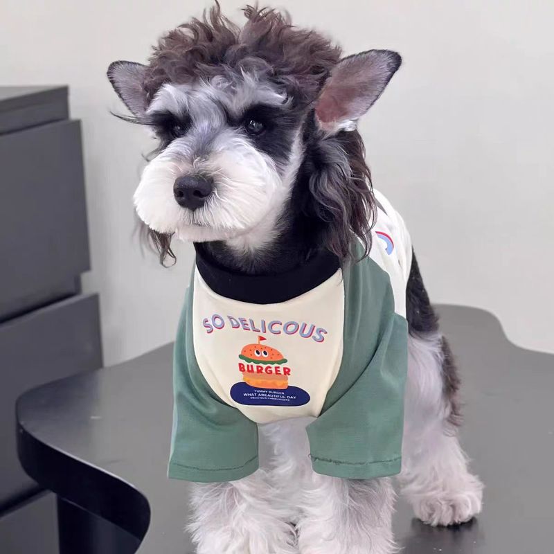 犬服新しい夏のペット夏カラーマッチングハンバーガーシュナウザーテディ小型犬ペット用品服|undefined