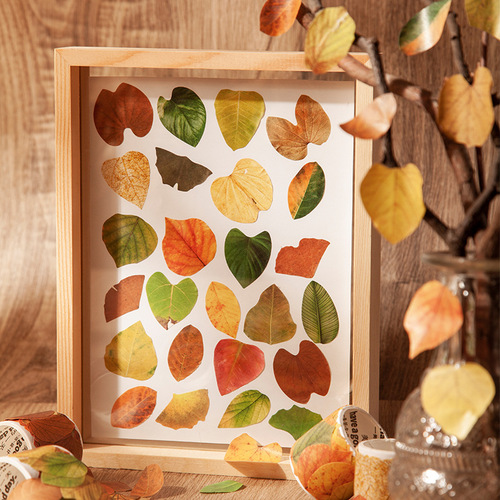 Good Day Tape Champs’ Fallen Leaves Series 8 Creative Plant Handbags DIY Decorative Stickers