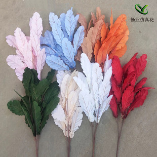 5��ɽ��~�����~����~�Ͳ��~������� ��c�Ƶ껨��·��������l