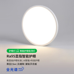Full spectrum intelligent eye protection bedroom lamp modern simple anti-mosquito ultra-thin room ceiling lamp led living room corridor lamp