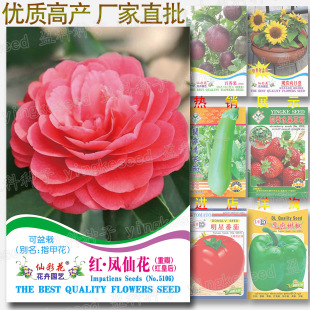 About 30 Red Camellia Impatiens Seeds, Double Impatiens Seeds, Original Red Queen Henna Seeds