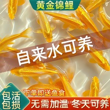 �S���\�����~�~���~���~���B�ͻ���ˮ�~�~��С���~�^�p�~