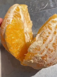 其他塑料薄膜;塑料自封袋;烘焙包装