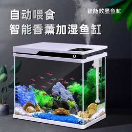 鱼缸客厅小型家用桌面超白玻璃小鱼缸造景水族箱生态免换水金鱼