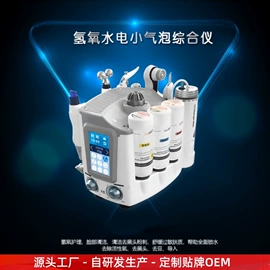 电子美容仪;其他美体瘦身;商用美容仪
