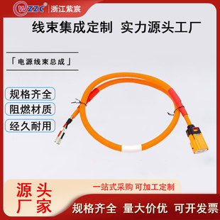 Factory Production of Customized Automotive Connection Harnesses, Energy Storage Power Harness Connectors for Energy Vehicles