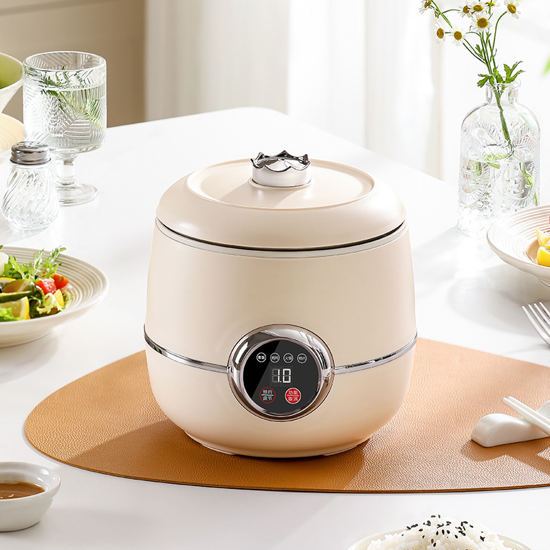 British British Standard India Pakistan Singapore Malaysia Vietnam Indonesia Small Rice Cooker