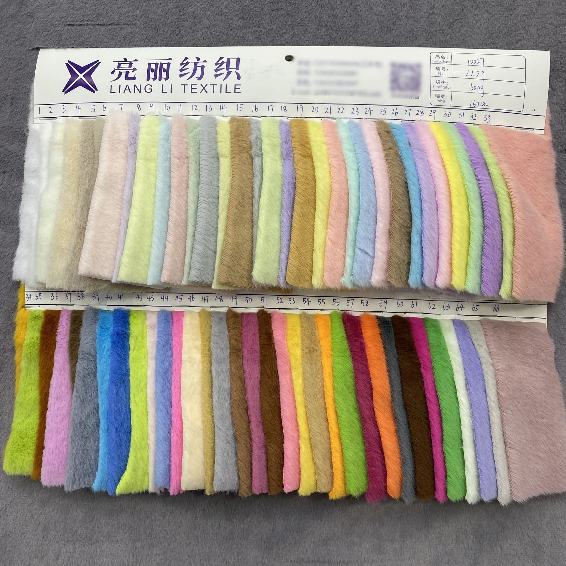 A100小金貂1