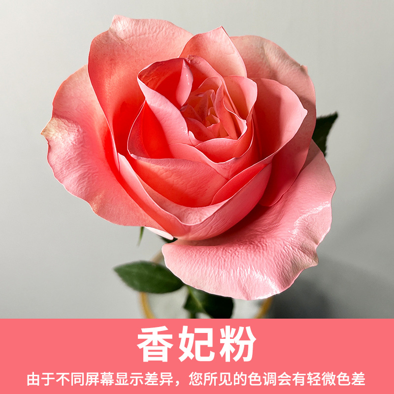 Xingle-Xiangfei powder 480ml