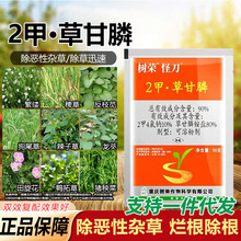 2�ײݸ�좹��@�ĵس��݄��Ǹ��ض��ײݸ��׳��ݠ������s�ݳ��݄�