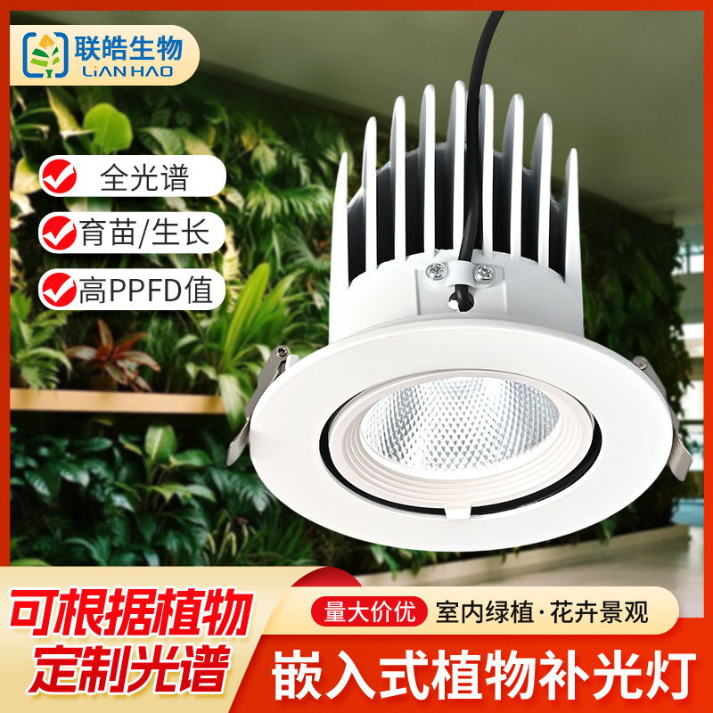LED fill light