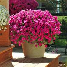 ����ţ�N�Ӵ��＾���҃��̨�����ļ��׷N���ܷN�ӻ���