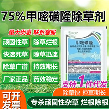 ���׻�¡���ݠ������Ǹ����F·��·�ĵ،��ó���ľ���׻�¡���݄�