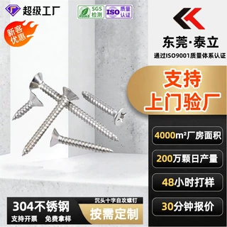 东莞源头工厂非标定制不锈钢自攻螺丝 沉头十字自攻304不锈钢螺钉