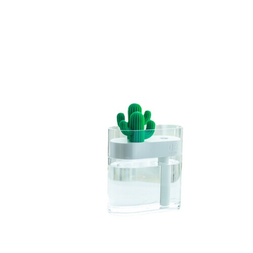 Sanhuo Cross-border View 319 Transparent Cactus Mini USB Humidifier Night Light Office Desktop Creative Gift