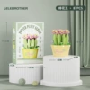 Lele Brothers 1503-07