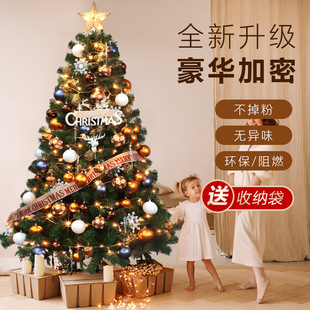 Christmas Tree 2024 New Home Package Ornaments Christmas Sense Ins Style DIY Decorations Small Jikai