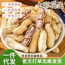 七彩花生408g袋装炒货云南特产  七彩熟花生带壳坚果年货批发代发