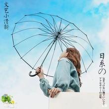 透明雨伞长柄伞小清新韩国创意自动雨伞16骨幸福树情侣伞批发网红