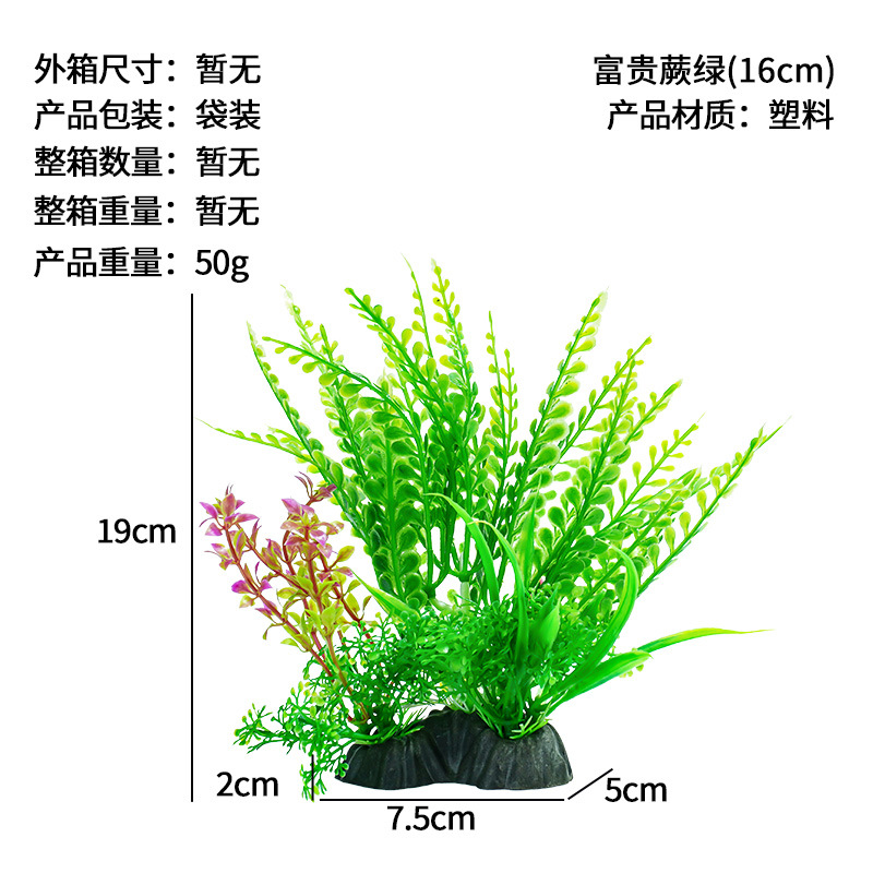 Verde rico helecho (16cm)