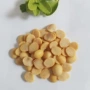 福建广东脱皮大豆扒皮机