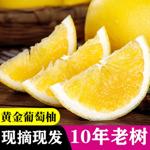 �����S�������ֵ����Sɫ�a��ֱ�������֭���֮������rˮ�����l