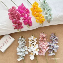 ����ˮ�۽q�����m�߷����c·����ˇ�ҾӾƵ��b�������m�F�z