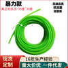 Hair rope, fluorescence high elastic slingshot, factory direct supply